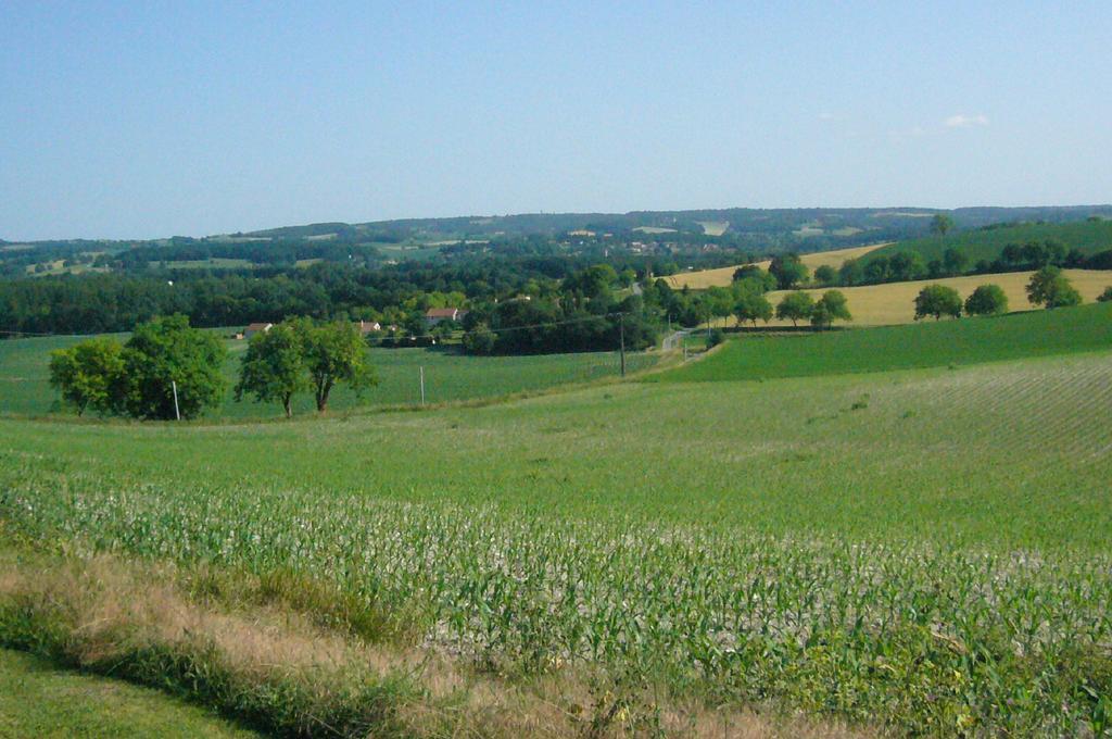 Les De La Treille Montagrier